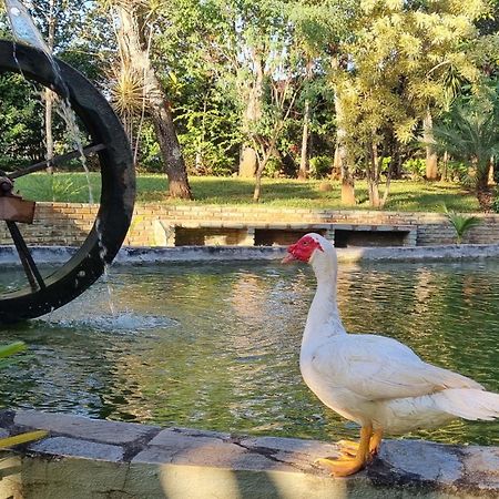 Sitio Roda D'Agua 라고아산타 외부 사진